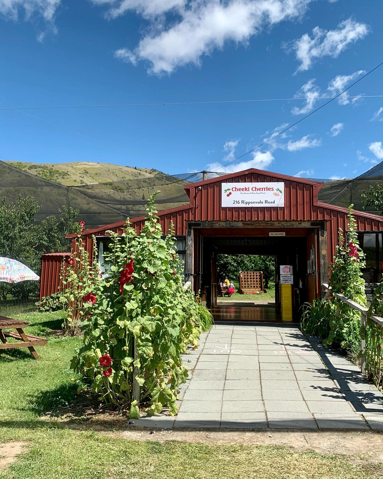 Pick your own Cheeki Cherries